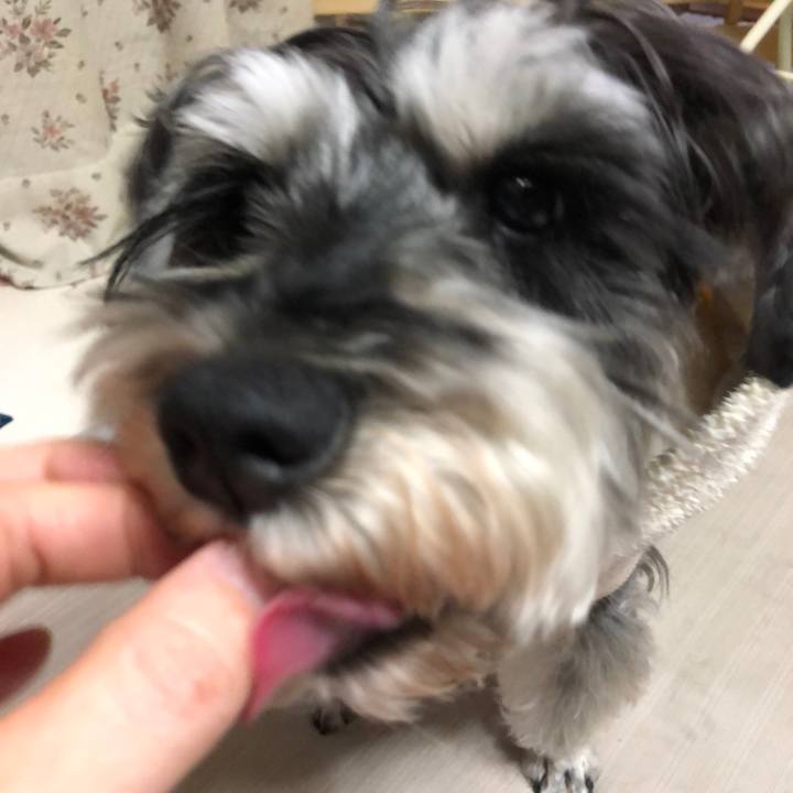 19760ecc fd75 42d7 b310 4cdd1646d633 1642596626120