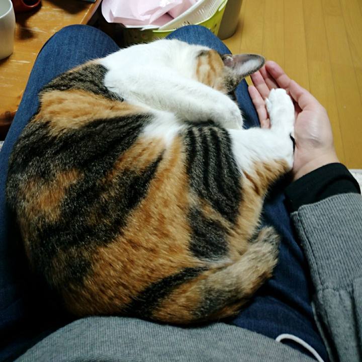 19766d48 cb18 4cf0 8bd8 524316e67ce7 1514879959881