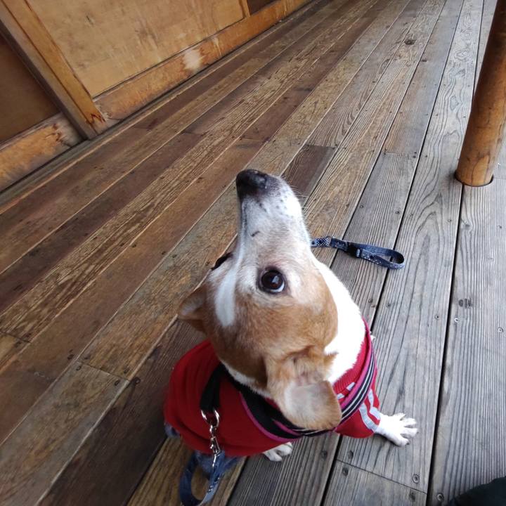 19768fe3 69a5 44aa 9ef0 09de4c1dcea2 1770341789415