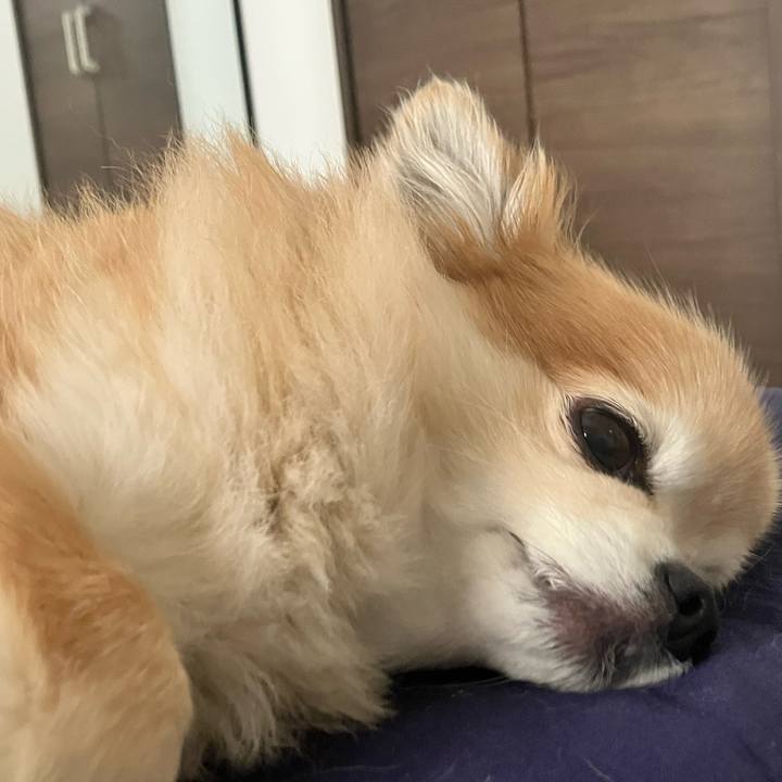 1976d598 acca 4d13 a062 490c0390c400 1756515721010