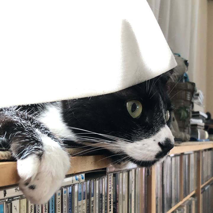 1976f5fe 62f5 4703 998b 6b066363277c 1566272101442