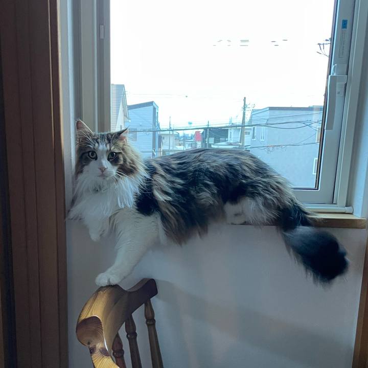 19773762 88de 4dfe b980 8689986f322d 1678313560913