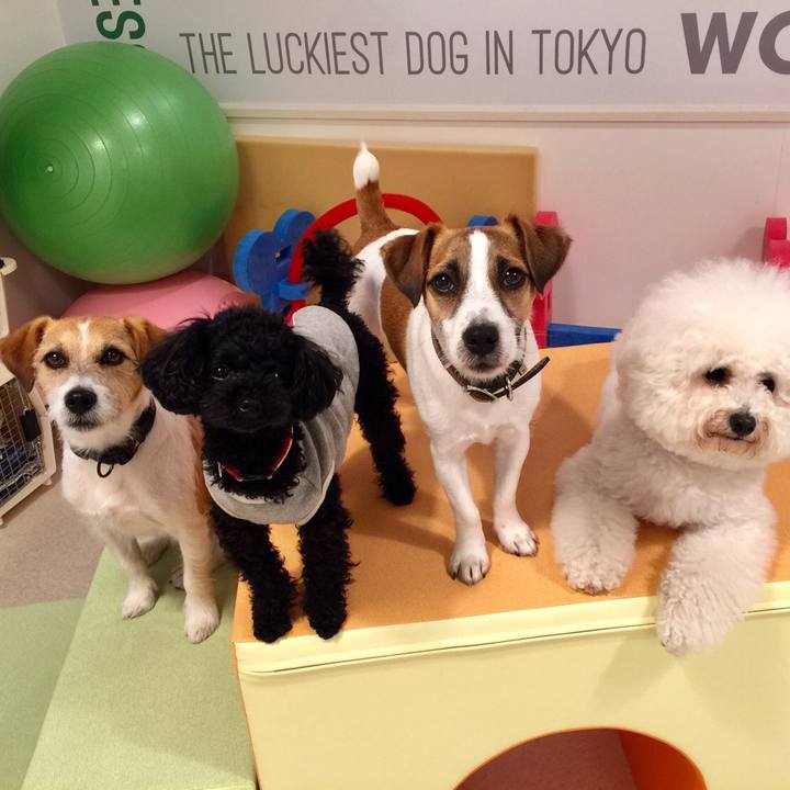 197756d8 6ee8 48f7 8704 aaf9458e6d0a 1556192377159