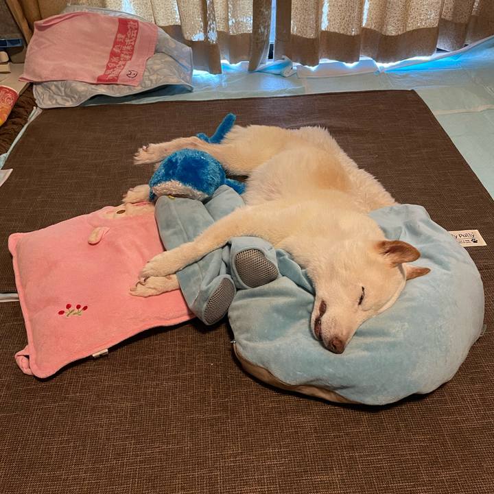 19777440 f329 45a0 817c e7cc5527cce2 1661551632527