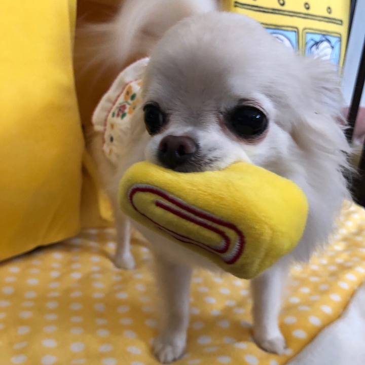 1977d451 7124 4d1f a7c8 56d32cff1389 1558576278890