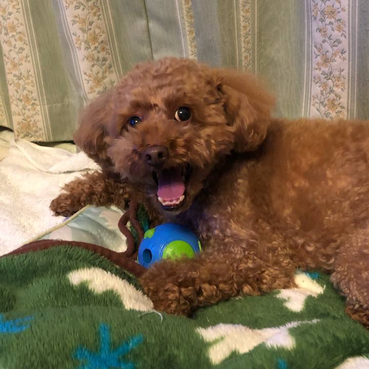 1977e11b 6c56 4158 9cc2 6edb284bae4f 1613905195320