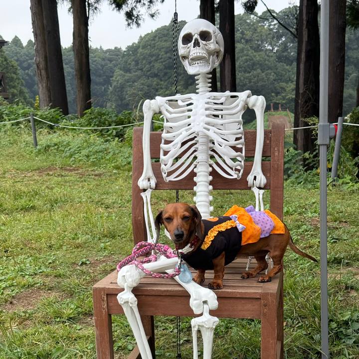 19782426 f7e0 43fe 87bd 274eaf23cda0 1761907487189