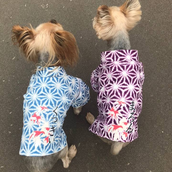 197824c6 8db4 4a71 aad8 1275ffe6f2a5 1597052047949