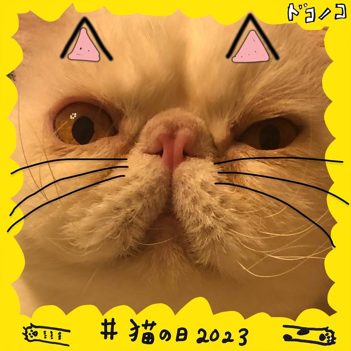 197838ba c507 4227 b183 929860ab0ae0 1677059175969