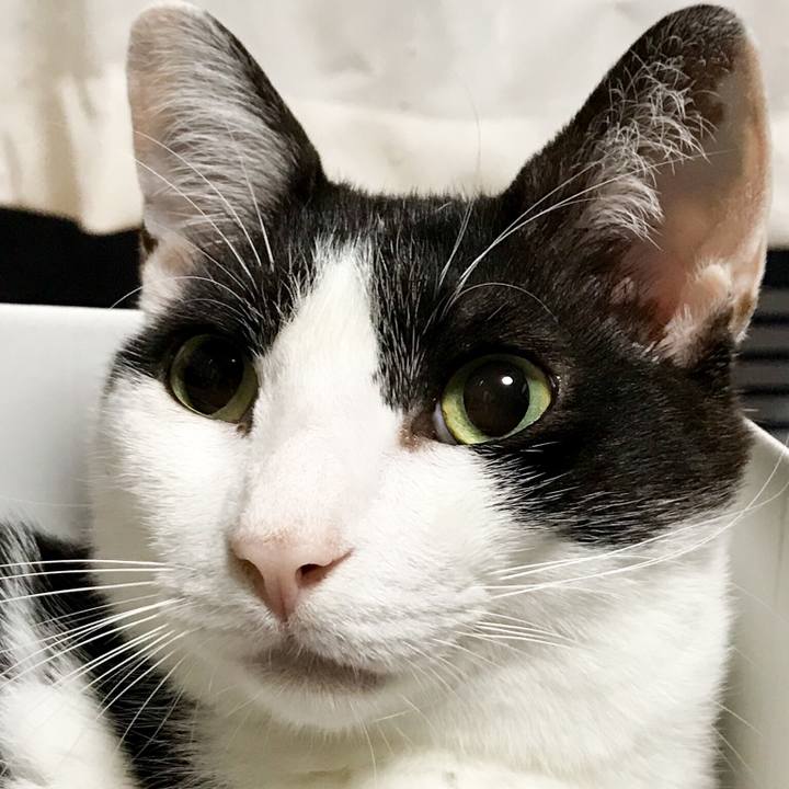 197846ce f77b 4ad7 8f50 d55e00175f42 1531839695889