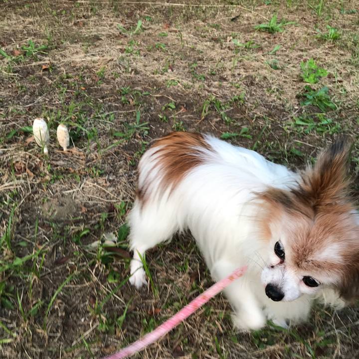 19786914 3ba8 4fb7 aad7 51ebb68a2fe5 1507684443957