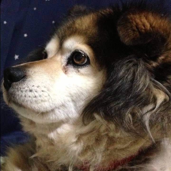 19789161 cb57 4b13 9f3c 1aa3edb09b47 1588354768283