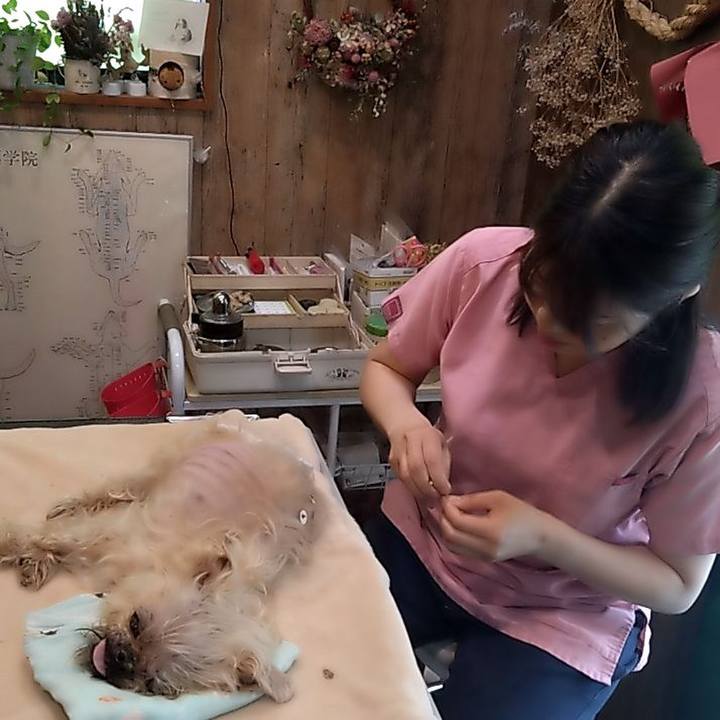 1978eb29 13a7 42f7 9b26 b7a414c92e2f 1751536437032