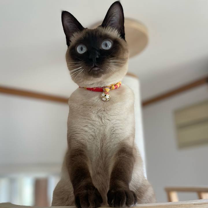 1978eb6f 8f53 4822 a070 fd4b6f5f86ef 1719613464984