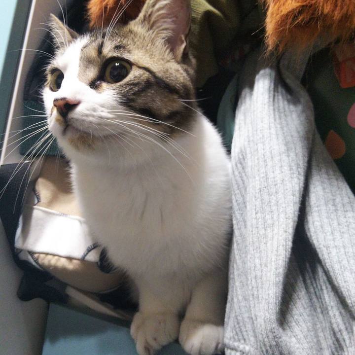 197932fa 97de 4275 ba5f 423d3f7dd765 1647007319072