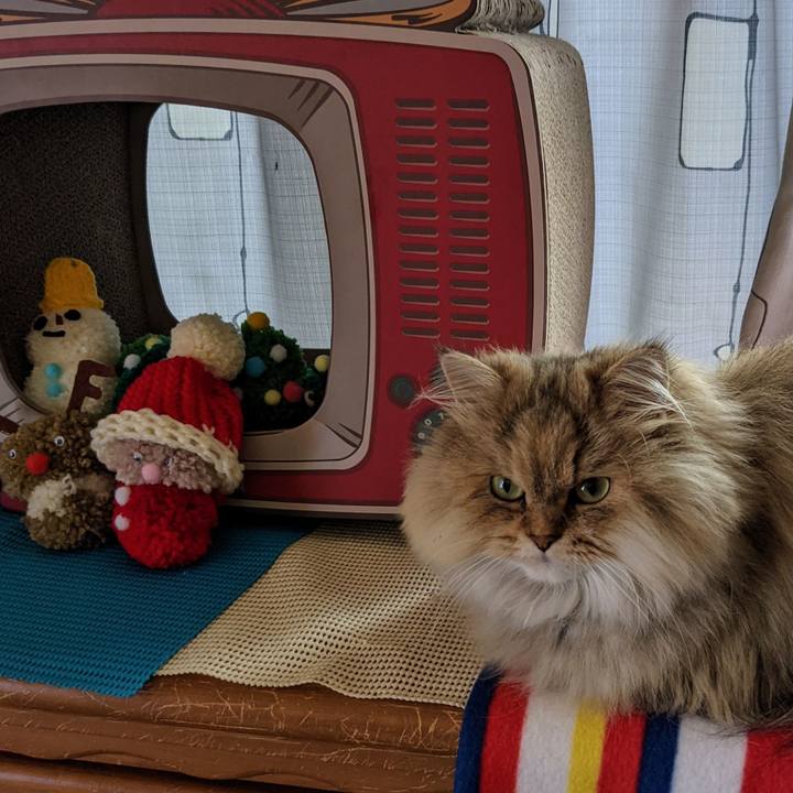 197972d5 c1ae 47d7 989f 5e5ec886b11d 1636597064276