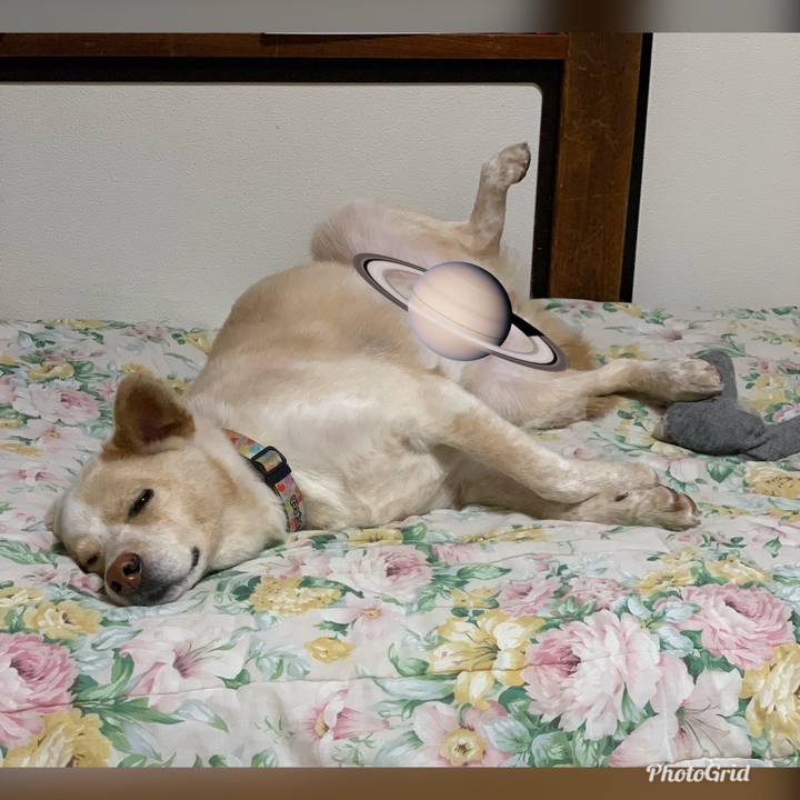 197a0ef7 6cc7 498b 9604 67f9101c3659 1553167402867