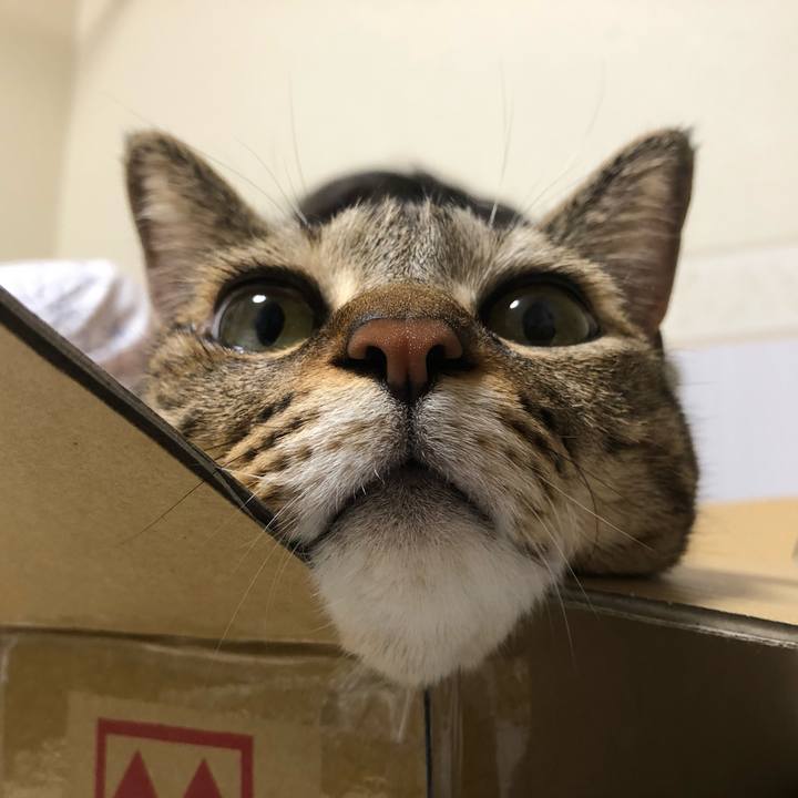 197a2c9d 4491 4947 b839 7a97182a9305 1631976393775