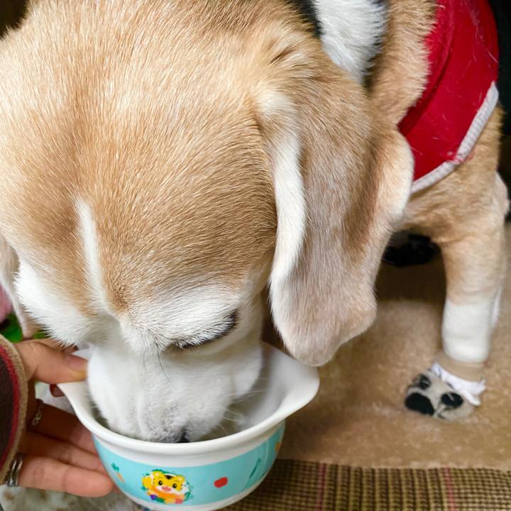 197a3ee2 3666 4be2 a3df 099d131a7a84 1580528739647