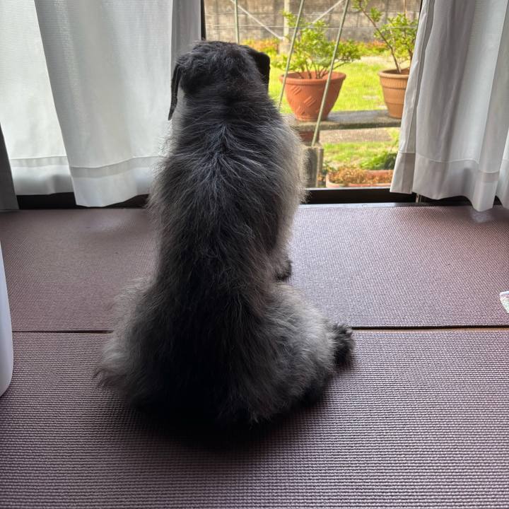 197a3f42 7b95 4464 9212 b5d4a4d6f6ed 1750635600344