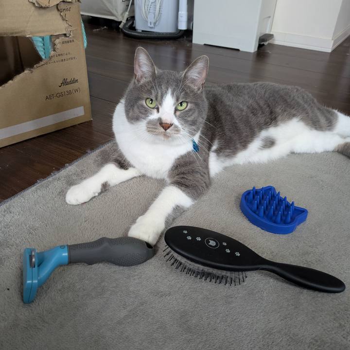 197a5d1f 8928 49ea ab38 d6d7d4a85dc6 1747544359671