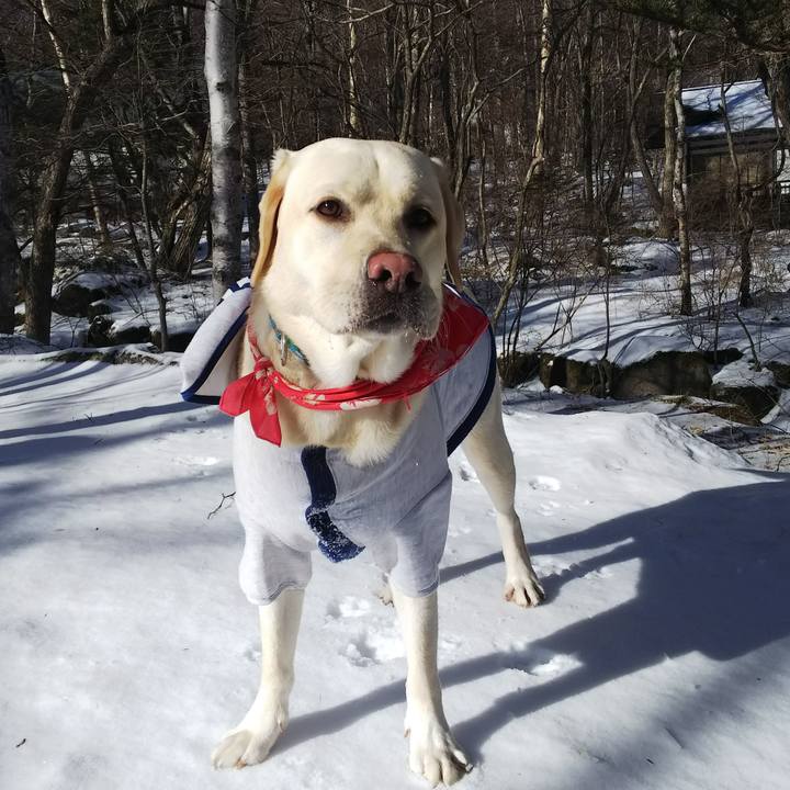 197a90de f411 423b b4b5 cf30d09115e7 1514619752432