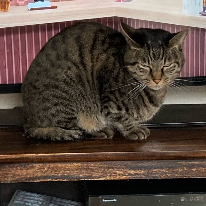 197aaf7a 1adc 4b12 beea a3c630e17d98 1666412246757