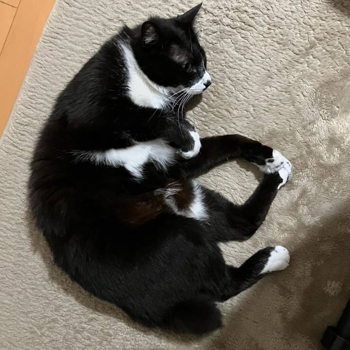 197ac4eb 41e0 4c4c a6ee 309d095bebc9 1690543802656