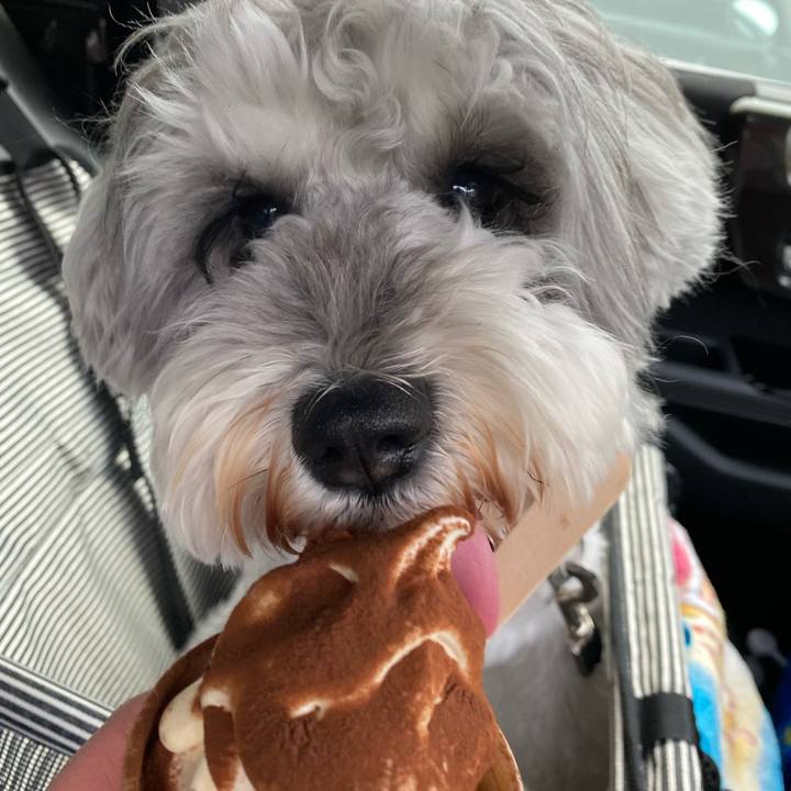 197acaa6 68ad 4852 92d5 0f2e534b7bd3 1649692588341