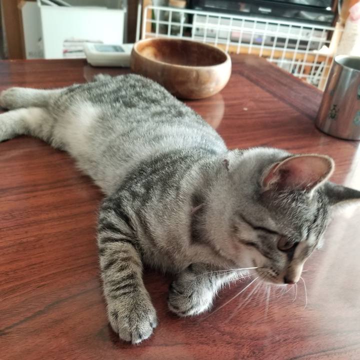 197ae0a5 61c9 46a7 9fe6 2132ee598808 1667737355835