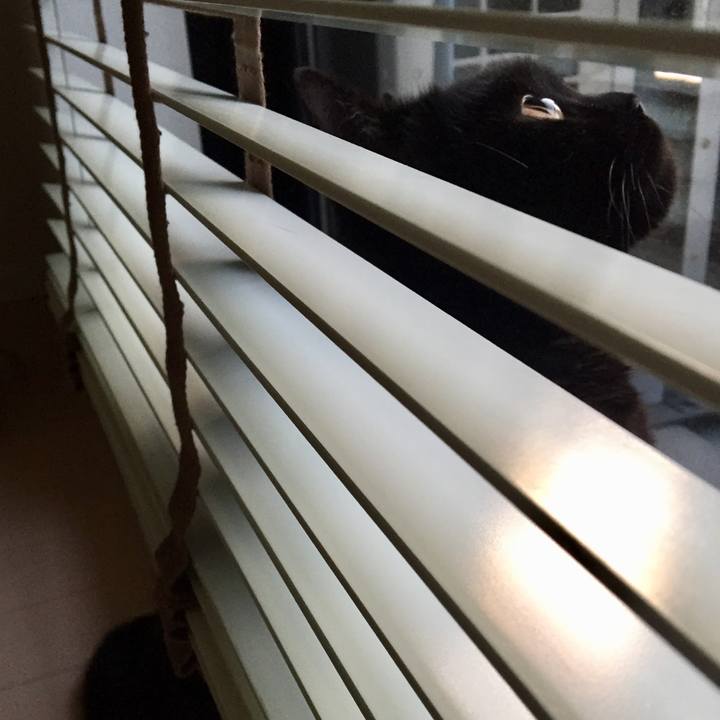 197afb63 23b6 4606 82de 6ca5cc4e964e 1593684653664