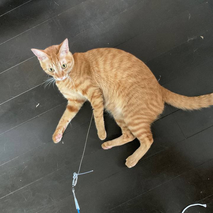 197b1910 ba40 42be 8349 e4bd439943c5 1631496886531