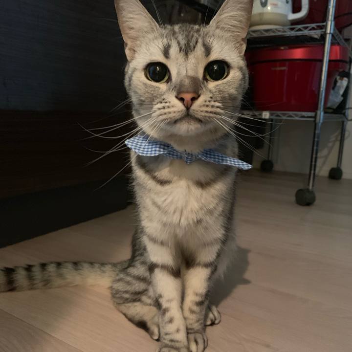 197b55b0 633f 45af bc48 3b9e9cc74a5e 1562327086123