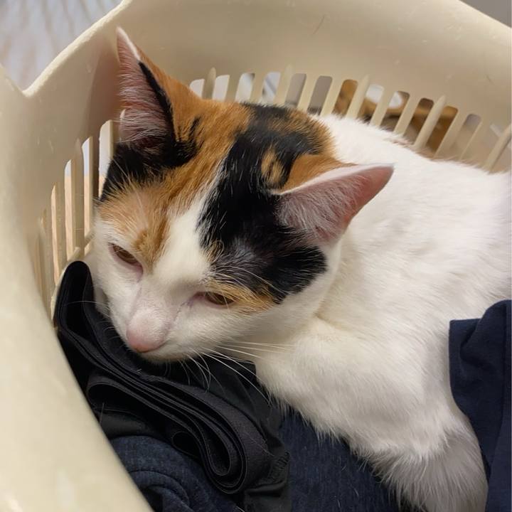 197b6d15 c0da 4a03 a00f ed20861999bc 1773916229674