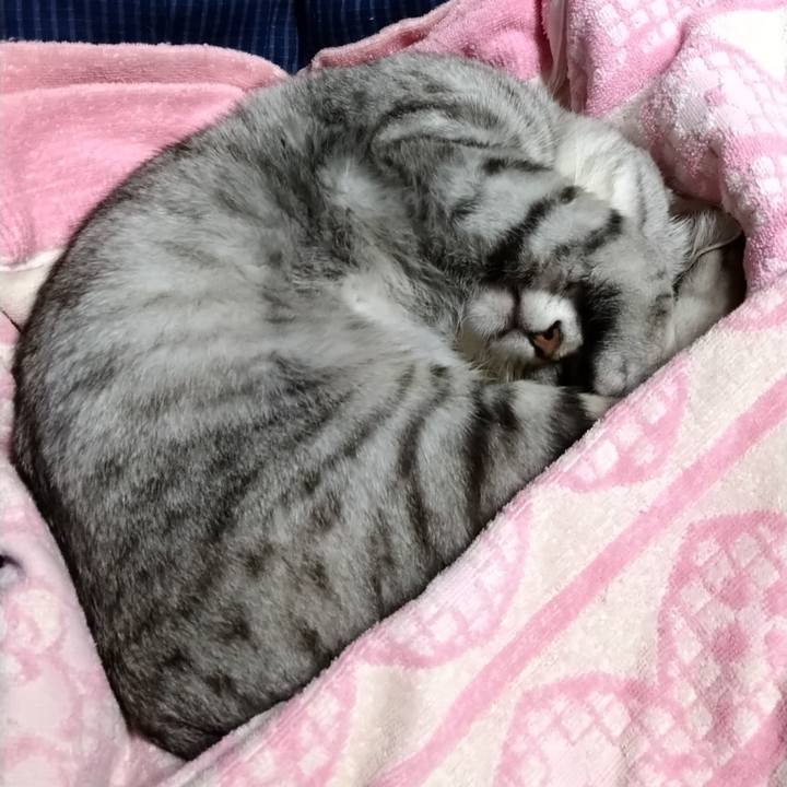 197b7726 2830 4b28 8c82 1115bbb47332 1634919442662