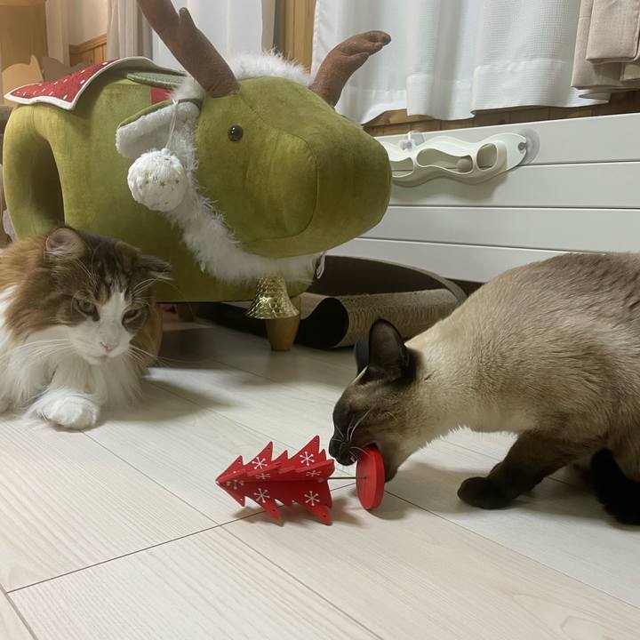 197b7ec1 2f49 4819 9c6e e77ecd1f5355 1734814956352