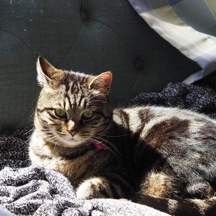 197b908b 4e4b 4091 868c b6c60d28c049 1616820374648