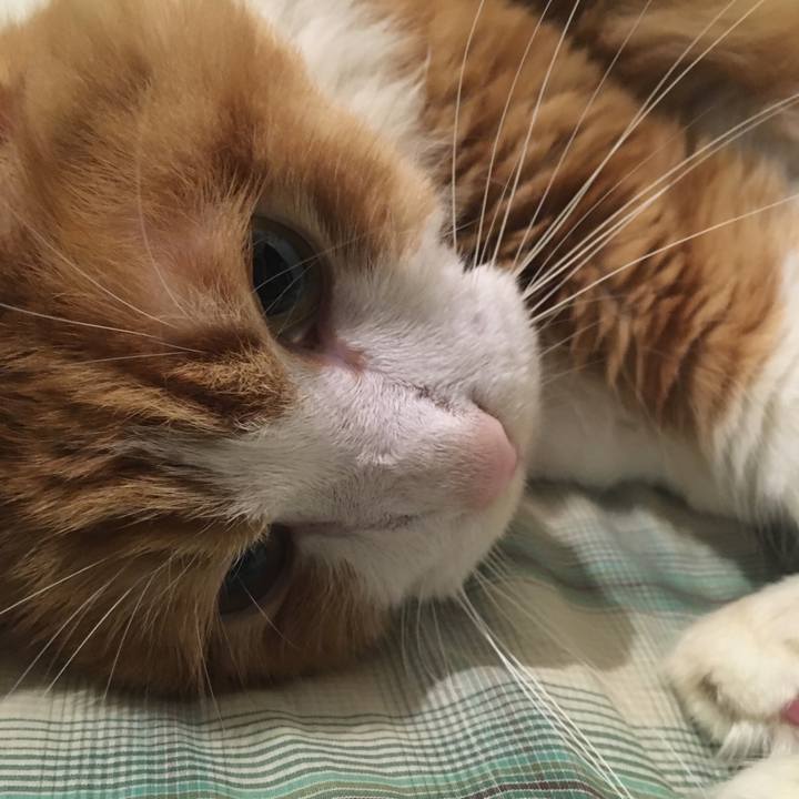 197b914f 2793 44f2 8724 32730ff87275 1570893867004