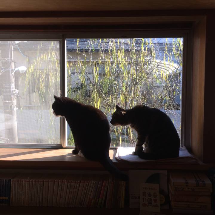 197b93dc 6251 404e b992 a257f895e0b3 1578875944108