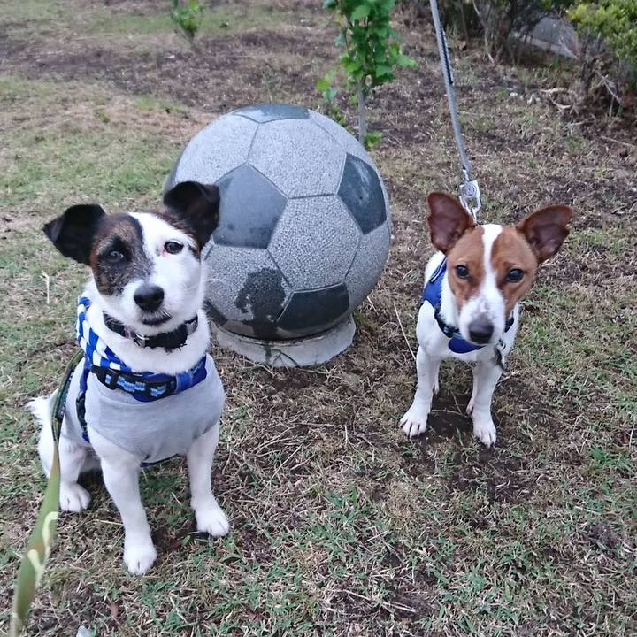 197c3f55 9206 4780 8e80 f7c463e560cd 1525856931840