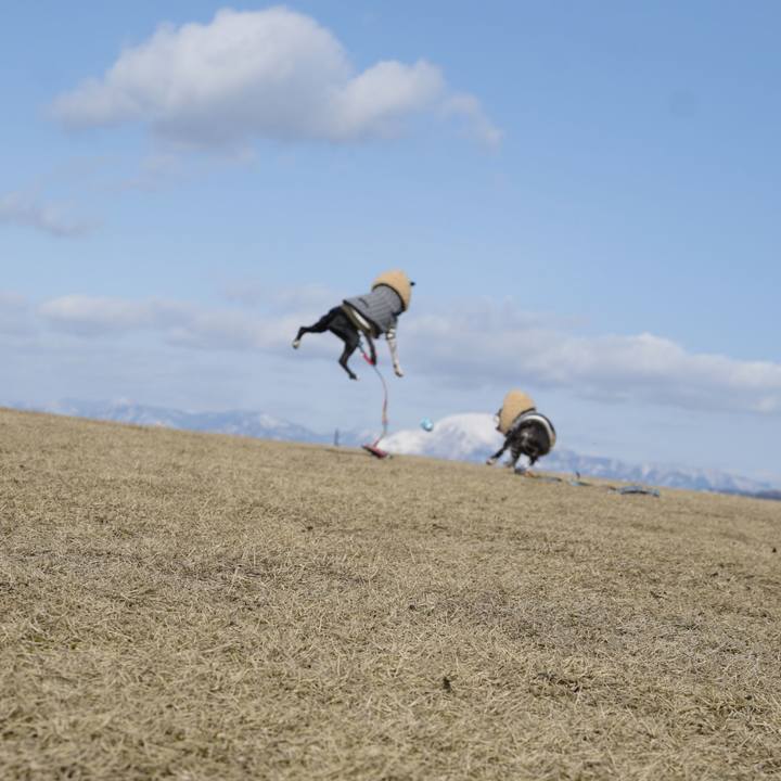 197c5fb9 03f0 45de 87da ac20d4aff352 1518954435959