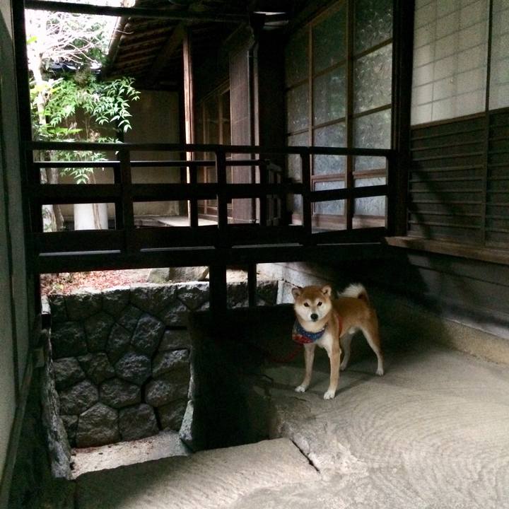 197c66e5 5e7f 4bef ba02 9da5ad53f4b6 1513050369981