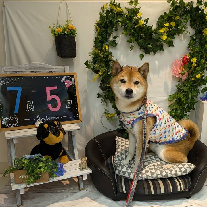 197c68f0 b3d7 4e9e ba23 35c81d99eeaf 1720328798244