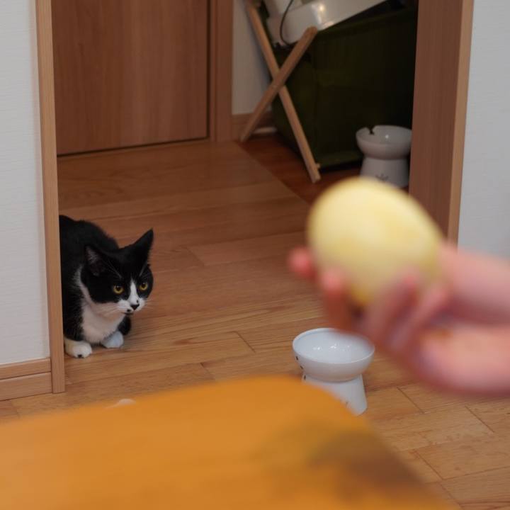 197cab08 66d6 483c 8d04 a229e7199db2 1626357787870