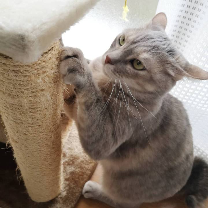 197ce4ea f31f 4d30 a148 a7943439f646 1583566310081