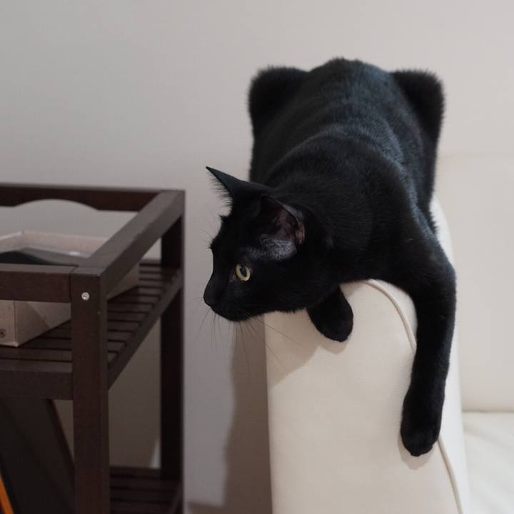 197ceaba 281f 4c4c a72f f70fafdb26b0 1526979706779