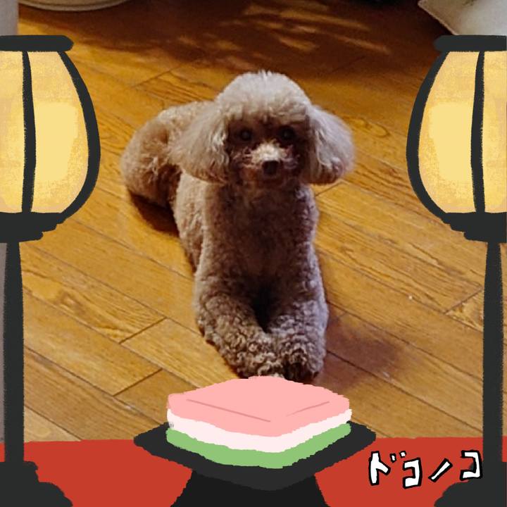 197d1706 79b2 467a 8c9c 04ea5cfd3800 1741165548450