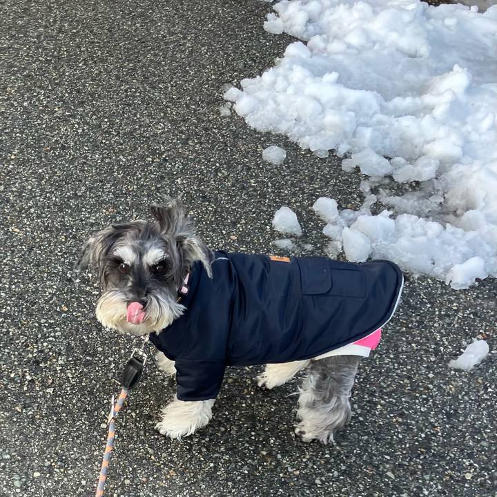 197d1a6d a166 4dd1 a119 584ae2ec0d40 1769870124664