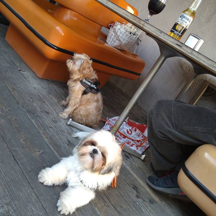 197d4895 c689 46e2 8d05 ab828adfc4eb 1606036130480