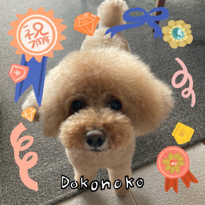 197d4c6d 2c1a 4804 a8fb b2fec2093daa 1685955473393